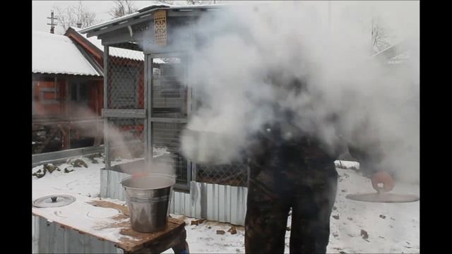 ПРИРОДНОЕ ЛЕКАРСТВО ДЛЯ КУР. СТАРИННЫЕ СЕКРЕТЫ ПТИЦЕВОДСТВА. смотреть онлайн