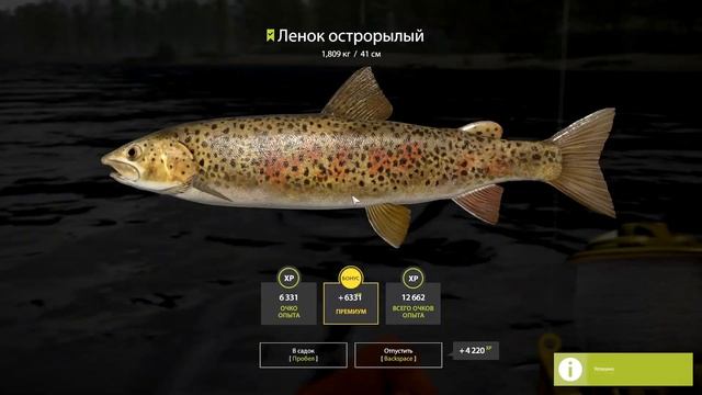 Кунджа + Нерка + Ленок | ФАРМ | р. Яма | Русская Рыбалка 4 смотреть онлайн