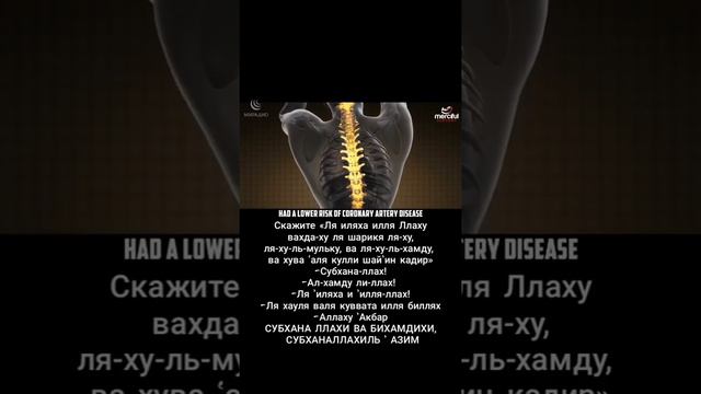 КТО ДЕРЖИТ ПОСТ, ОБЯЗАТЕЛЬНО ПОСМОТРИТЕ ЭТО РОЛИК. смотреть онлайн