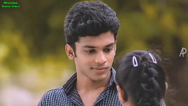 Dil Diya dekhta Raha Tere piche picheStatus video смотреть онлайн