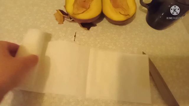 посадка манго в домашних условиях! смотреть онлайн