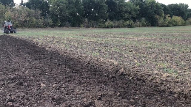 Мтз 1221,2 з саморобним плугом "Lemken" смотреть онлайн