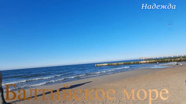 Отдых мой на Балтийском море смотреть онлайн