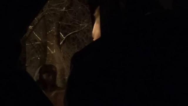 ДПС Саратова - нас не догонят!? смотреть онлайн