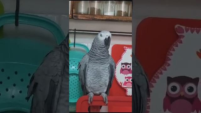 Кира возвращается (две недели не говорила) мама счастлива. смотреть онлайн