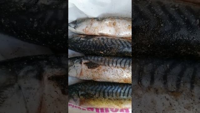 КОПЧЁНАЯ СКУМБРИЯ !!! смотреть онлайн