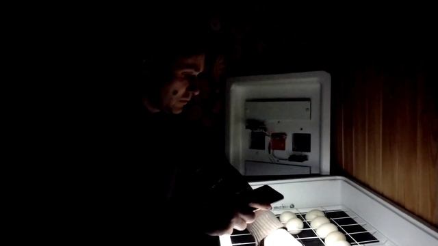 Овоскопирование яиц индоуток. Цыплятам 2 недели смотреть онлайн