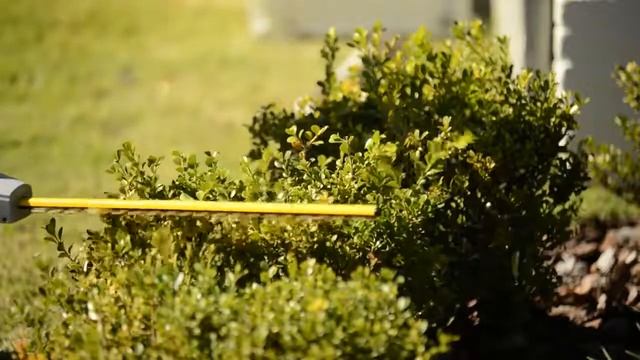 Sun Joe SJH902E 4 Amp 21 in. Multi-Angle Telescoping Pole Hedge Trimmer Live Demo смотреть онлайн