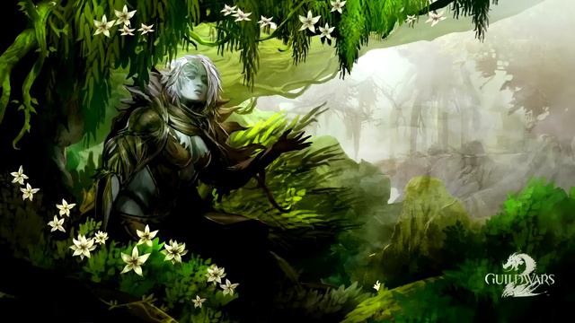 WHY GUILD WARS 2 WILL BE THE NEXT BEST MMORPG!!! смотреть онлайн