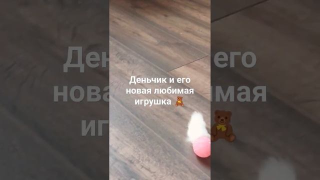 Новая игрушка Дени #нибелунг #котики #нибелунгДени #ДенииЛори #nibelung смотреть онлайн