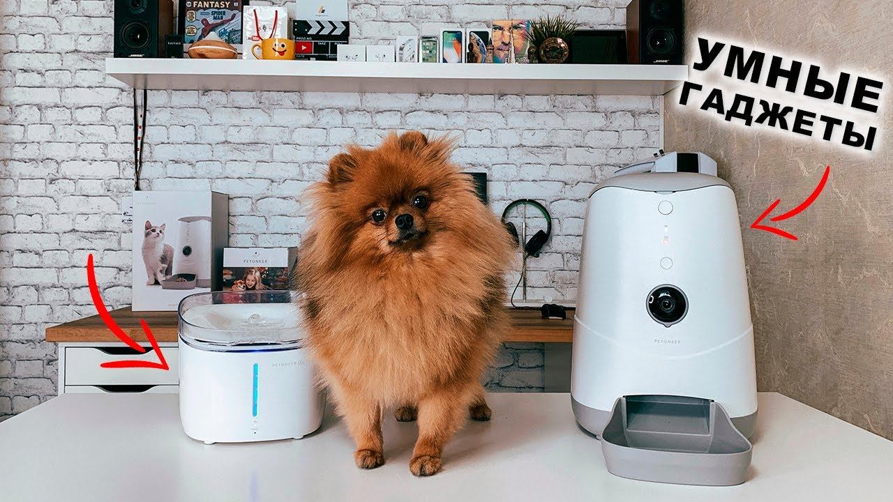 Умная кормушка Petoneer Nutri Vision и поилка Fresco Ultra для ваших любимых питомцев смотреть онлайн
