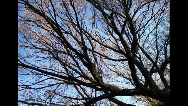 Солнечный день в Санкт-Петербурге смотреть онлайн