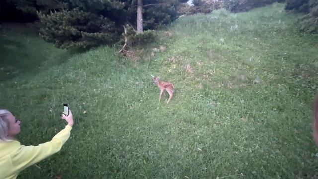 Крымский природный заповедник 2022 I Национальный парк "КРЫМСКИЙ". КРЫМ глазами детей! смотреть онлайн