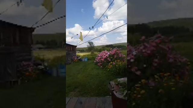 ОТДЫХАЕМ В ДЕРЕВНЕ! смотреть онлайн