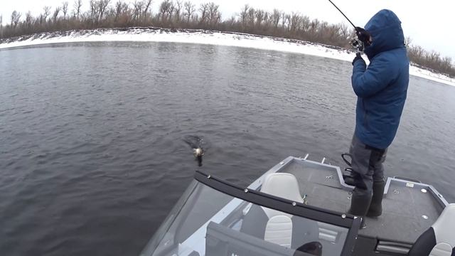 ОТКРЫТИЕ СЕЗОНА 2022. Весенний ЖОР СУДАКА перед нерестом на ВОЛГЕ смотреть онлайн