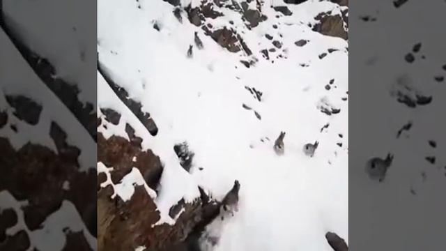 Зимний Таджикистан смотреть онлайн