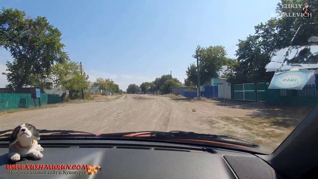 Петр П. Шнайдер и Кушмурунская дистанция лесонасаждений смотреть онлайн