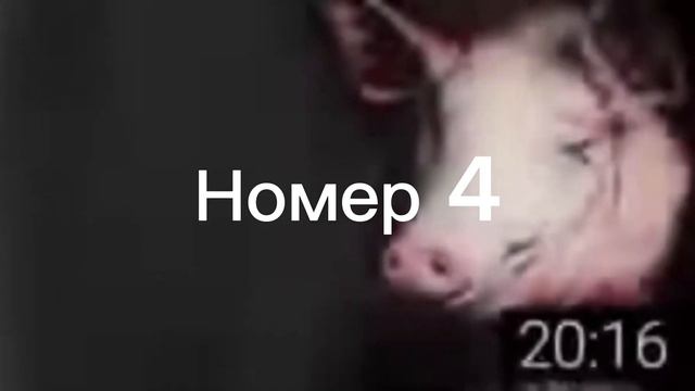 Свинтус придёт 😭😧😬🫨 / мем/ разные версии смотреть онлайн