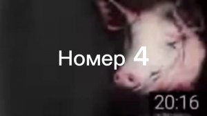 Свинтус придёт 😭😧😬🫨 / мем/ разные версии