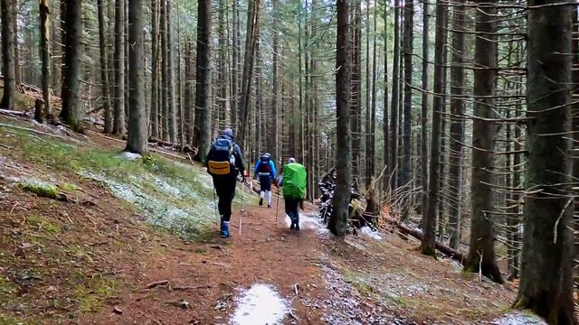 Поход Кукул - Кострича. Цветение крокусов. смотреть онлайн