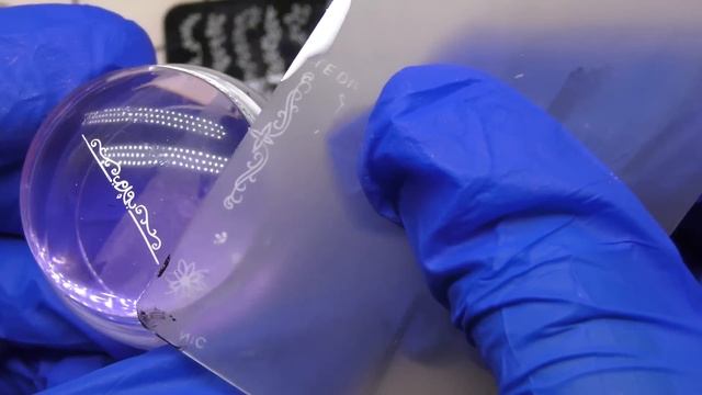 Тестирование с Aliexpress и покрытие?Новогодний дизайн?Не рабочая пластина от Nicole Diary смотреть онлайн