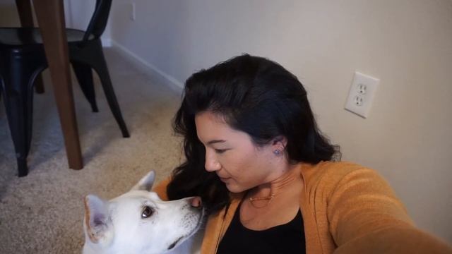 Rescuing our International Dog - Korean Jindo смотреть онлайн