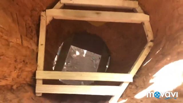 Улей колода для пчёл своими руками.Борть. смотреть онлайн