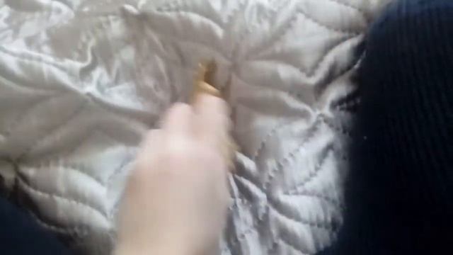 Лагушки &ко попалась сумчатая квакша !! смотреть онлайн