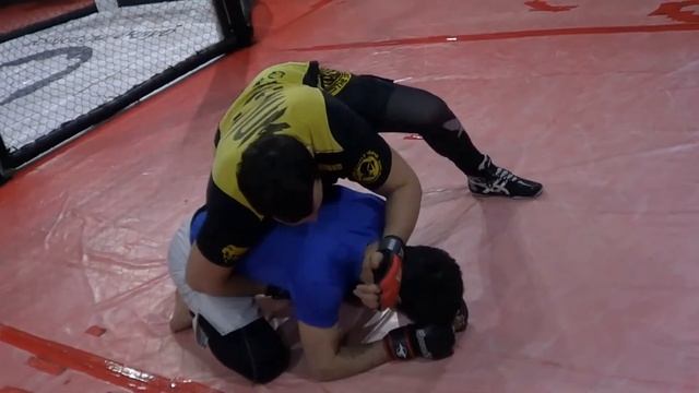 мма добивание в партере. Гусейнов Мухтар тренер по ММА. смотреть онлайн