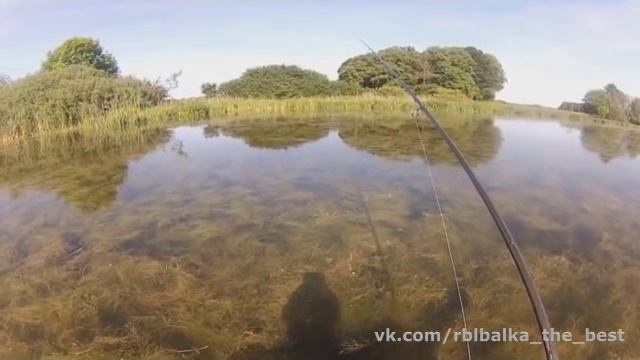 Подцепил карпа смотреть онлайн