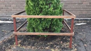 КАК ВОССТАНОВИТЬ ТУИ ПОСЛЕ ЗИМЫ