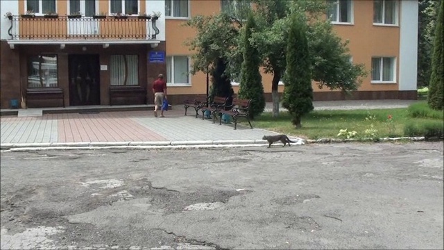 Сметаны: санаторий 