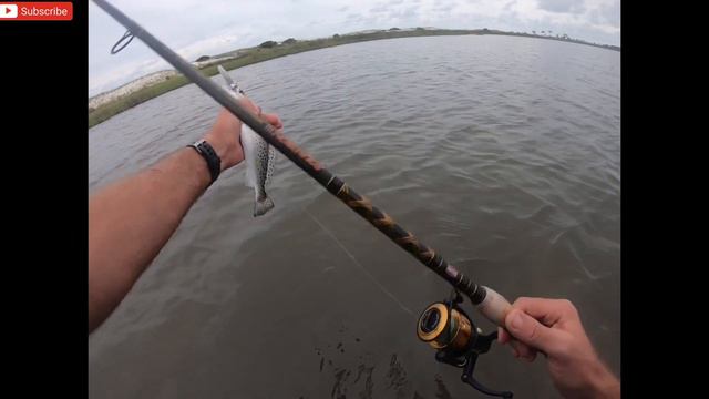 Wade Fishing a Shark and Alligator Infested Lagoon смотреть онлайн
