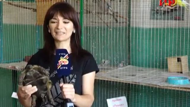 Замена кровли, окон, косметический ремонт смотреть онлайн