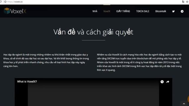 Đánh giá dự án VoxelX смотреть онлайн
