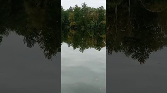 м.Моршин,лісове озеро 2 кі-ра від вокзалу смотреть онлайн