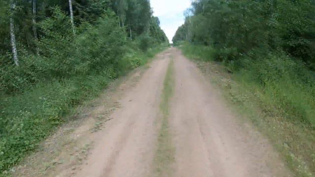Часть 2. Выдрея-Погостище-Крынки- Лес- Еремино-Тишково-Витебск. О борщивике и о колесах смотреть онлайн