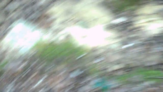 Афонскими тропами. Идём из монастыря Хиландар в монастырь Зограф. смотреть онлайн