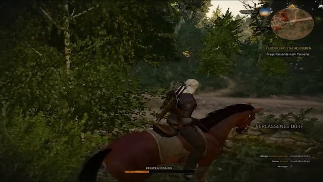 The Witcher 3: Wild Hunt | Nvidia Geforce 710M | Intel I5 3230M смотреть онлайн