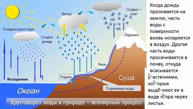 Круговорот воды смотреть онлайн
