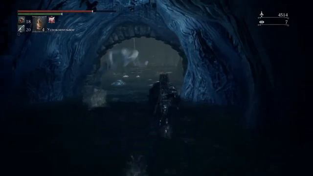 Бладборн длс