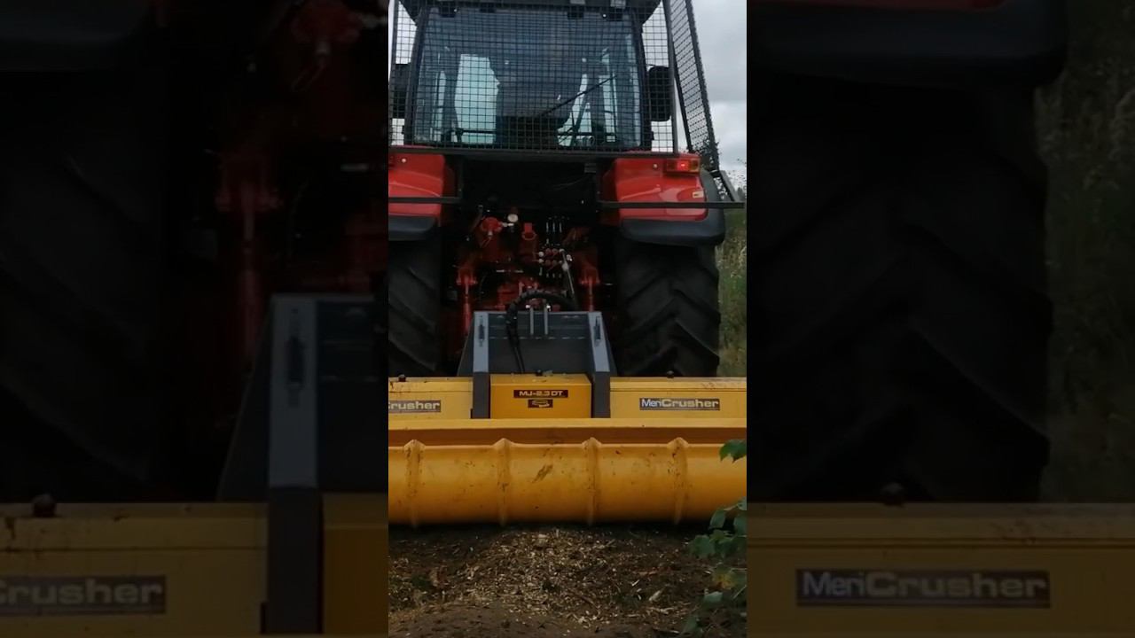 Беларус разгрыз огромный пень #ротоватор #удалениепней #корчевание #мульчер #shorts смотреть онлайн