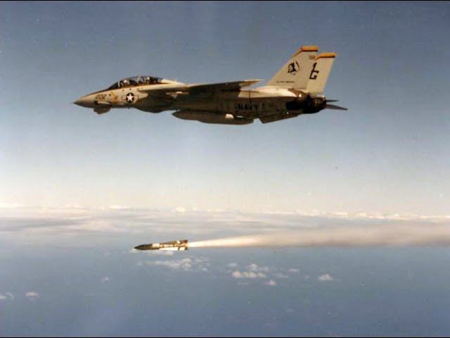 DCS F-14 B PVP On Gs Server Very Long Range Kills