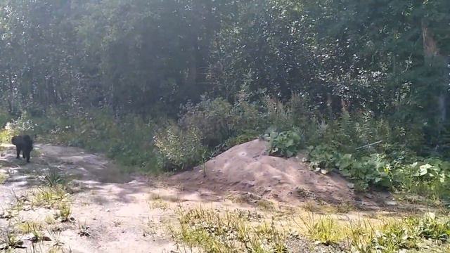 Обзор на СНТ Озёрное и его места