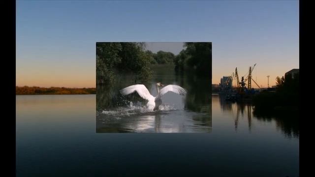 Астрахань Павел Булычев. смотреть онлайн