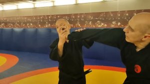 Джиу-джитсу. Темы для новичков 143.