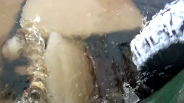 Шерп на льду