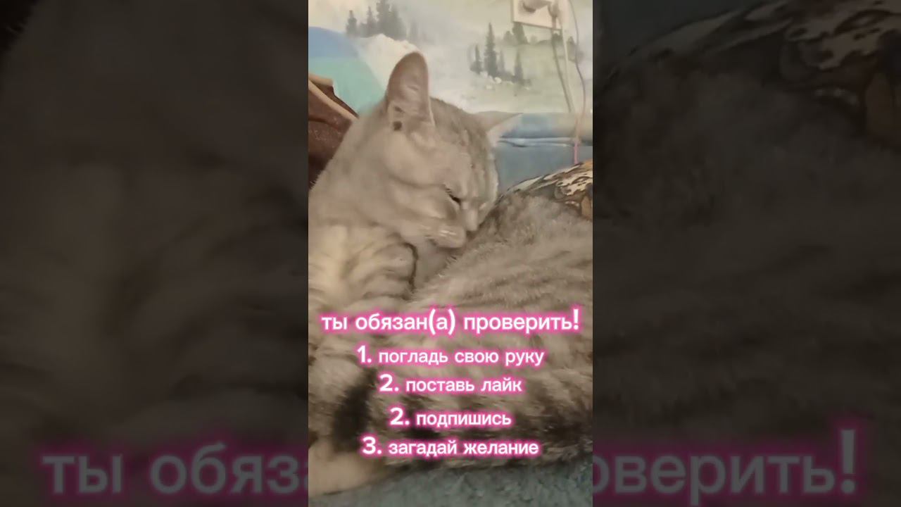 13 апреля 2024 г. смотреть онлайн