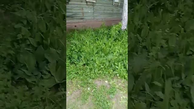 Если плохой звук ставьте ставьте дизлайк и напишите в комент смотреть онлайн