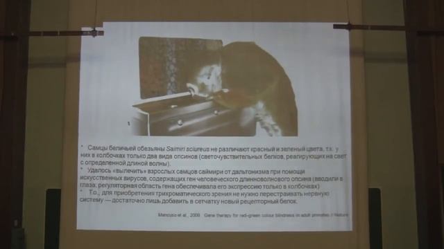 Марков Александр - Теория эволюции Лекция 9 Эволюционные новшества смотреть онлайн